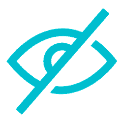 Privacy icon